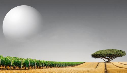 A guerra silenciosa das telecomunicações: como os operadores estão a mudar as regras do jogo