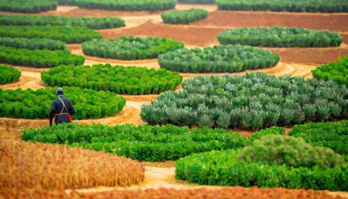 Seguros em Portugal: o que os jornais não contam sobre o futuro da proteção
