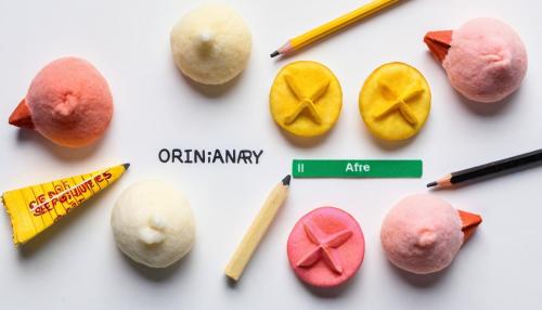 The hidden histories and curious truths behind everyday things