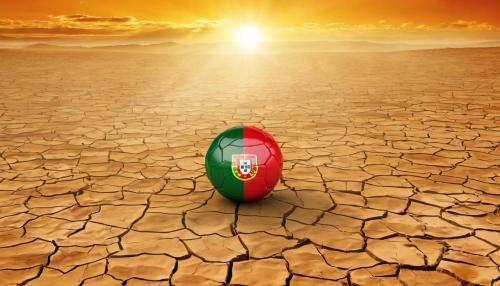 O lado sombrio da energia solar: os resíduos que ninguém quer ver