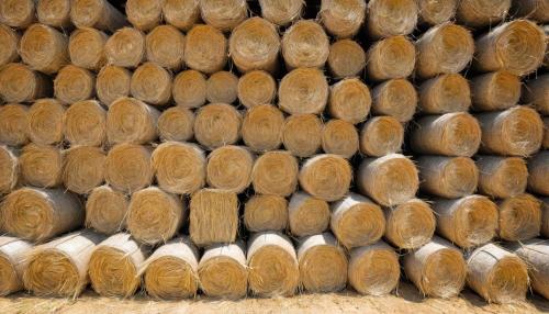 El lado oscuro de las renovables: los conflictos que nadie cuenta