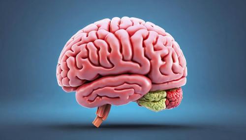 La conexión intestino-cerebro: cómo tu salud digestiva influye en tu bienestar emocional