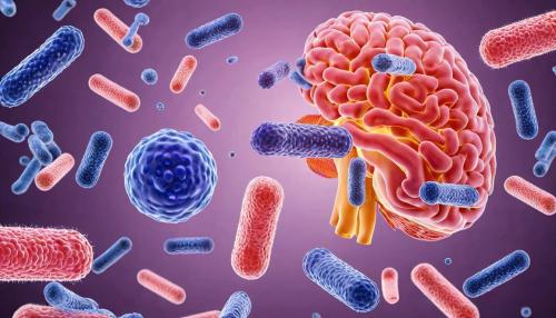 La conexión intestino-cerebro: cómo tu microbiota intestinal influye en tu salud mental