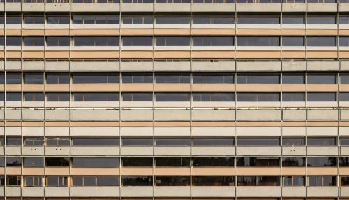 O som esquecido: histórias de quem recuperou o mundo através dos ouvidos