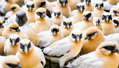 Seguro para animais exóticos: o que ninguém te conta sobre proteger o seu companheiro incomum