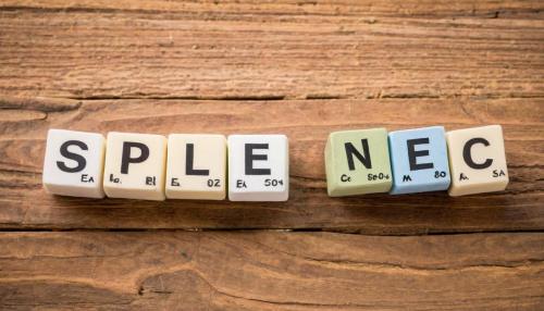 A revolução silenciosa das comunidades energéticas: quando os vizinhos se tornam produtores