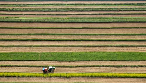 The silent revolution: How parametric insurance is rewriting the rules of risk