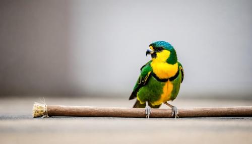 Seguro para animais exóticos: o que os tutores de répteis, aves e roedores precisam saber