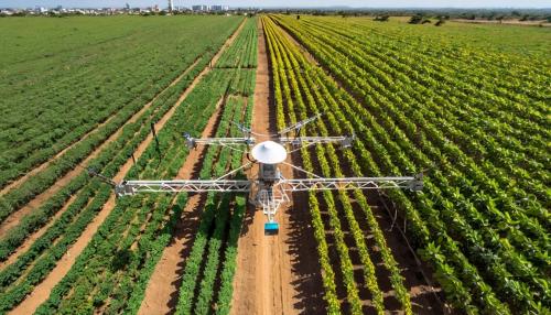 El futuro de las telecomunicaciones en México: más allá de la cobertura y la velocidad