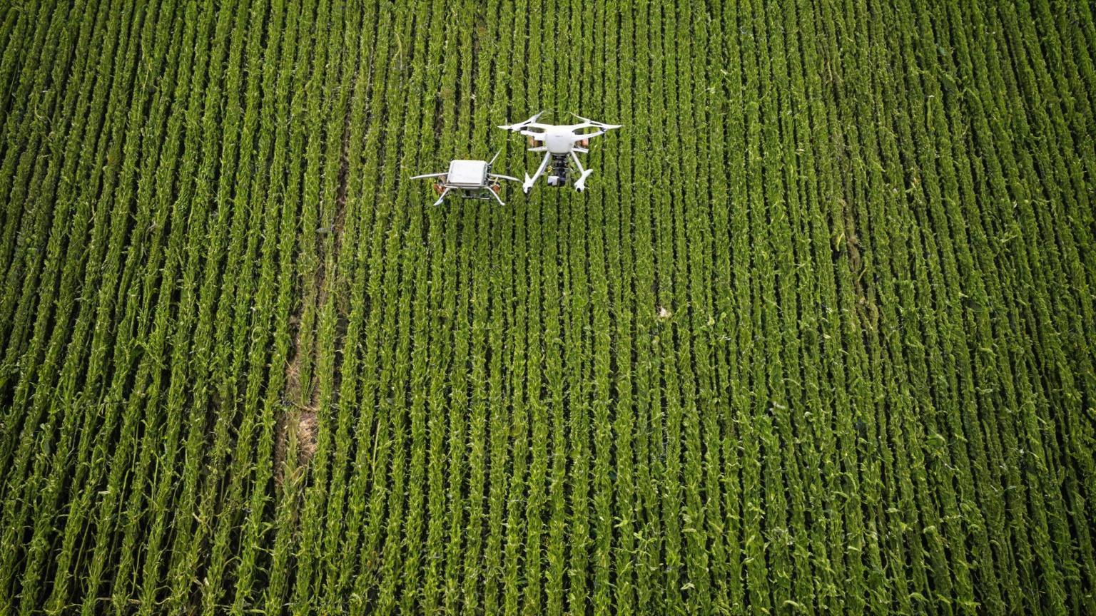 La revolución digital en el sector agrícola ecuatoriano