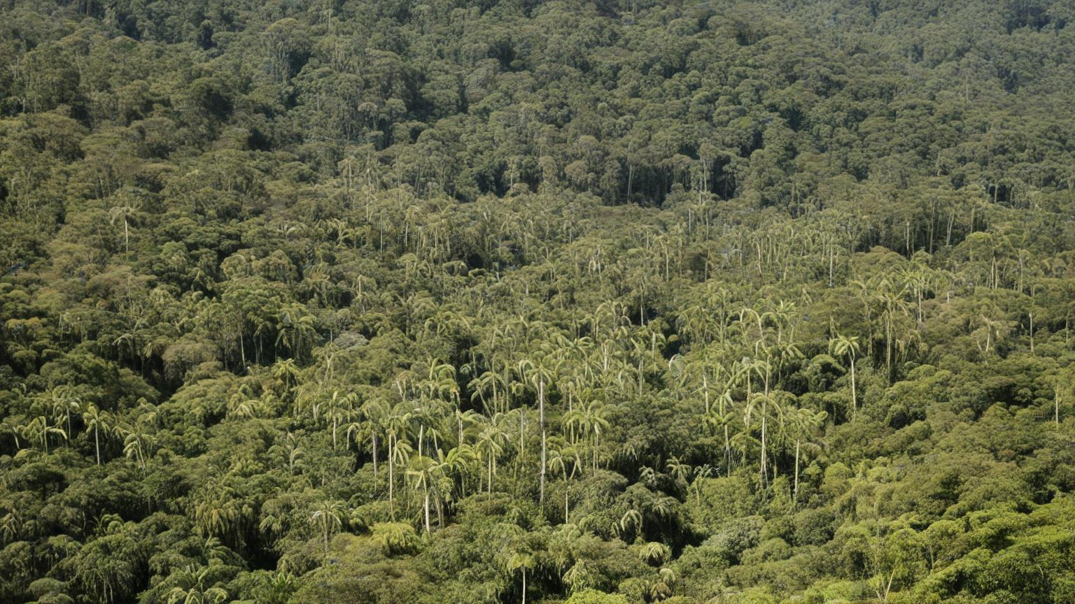 Los secretos de la biodiversidad en la Amazonía ecuatoriana Los secretos de la biodiversidad en la Amazonía ecuatoriana