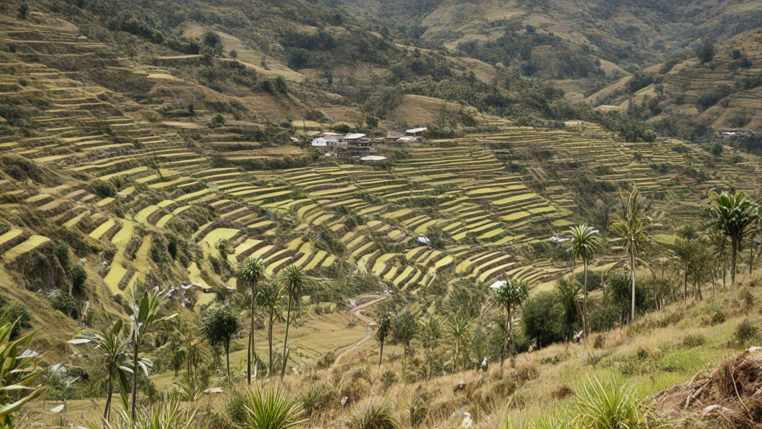 Ecuador y el impacto de la minería ilegal en sus ecosistemas