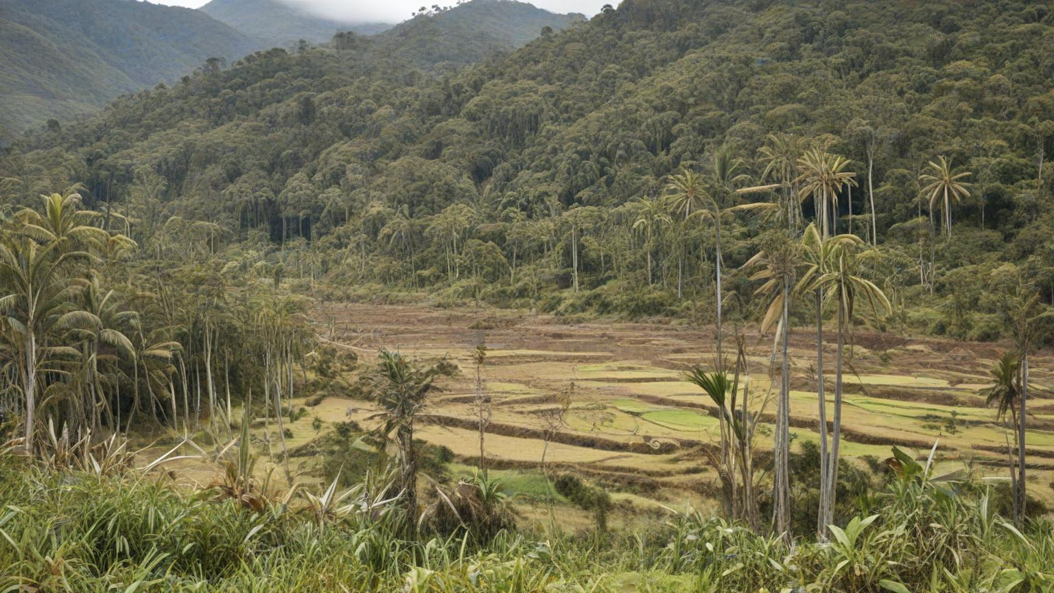 El impacto de las políticas ambientales en la salud comunitaria en Ecuador