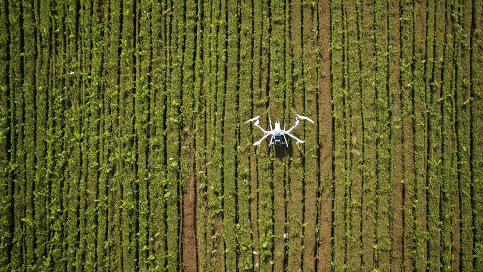 Innovación tecnológica en el agro ecuatoriano