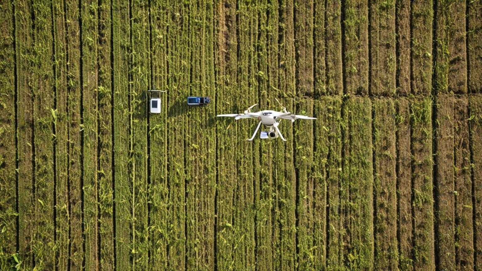 Innovaciones tecnológicas que están transformando la agricultura ecuatoriana