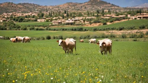 El futuro de la conectividad 5G en las zonas rurales de España