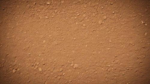 El futuro de los seguros en la era digital: innovación y desafíos