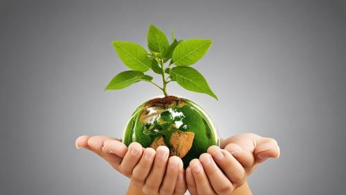 El futuro de la energía renovable en España: innovación y desafíos