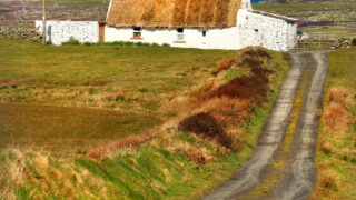 Thatch cottages grant under fire