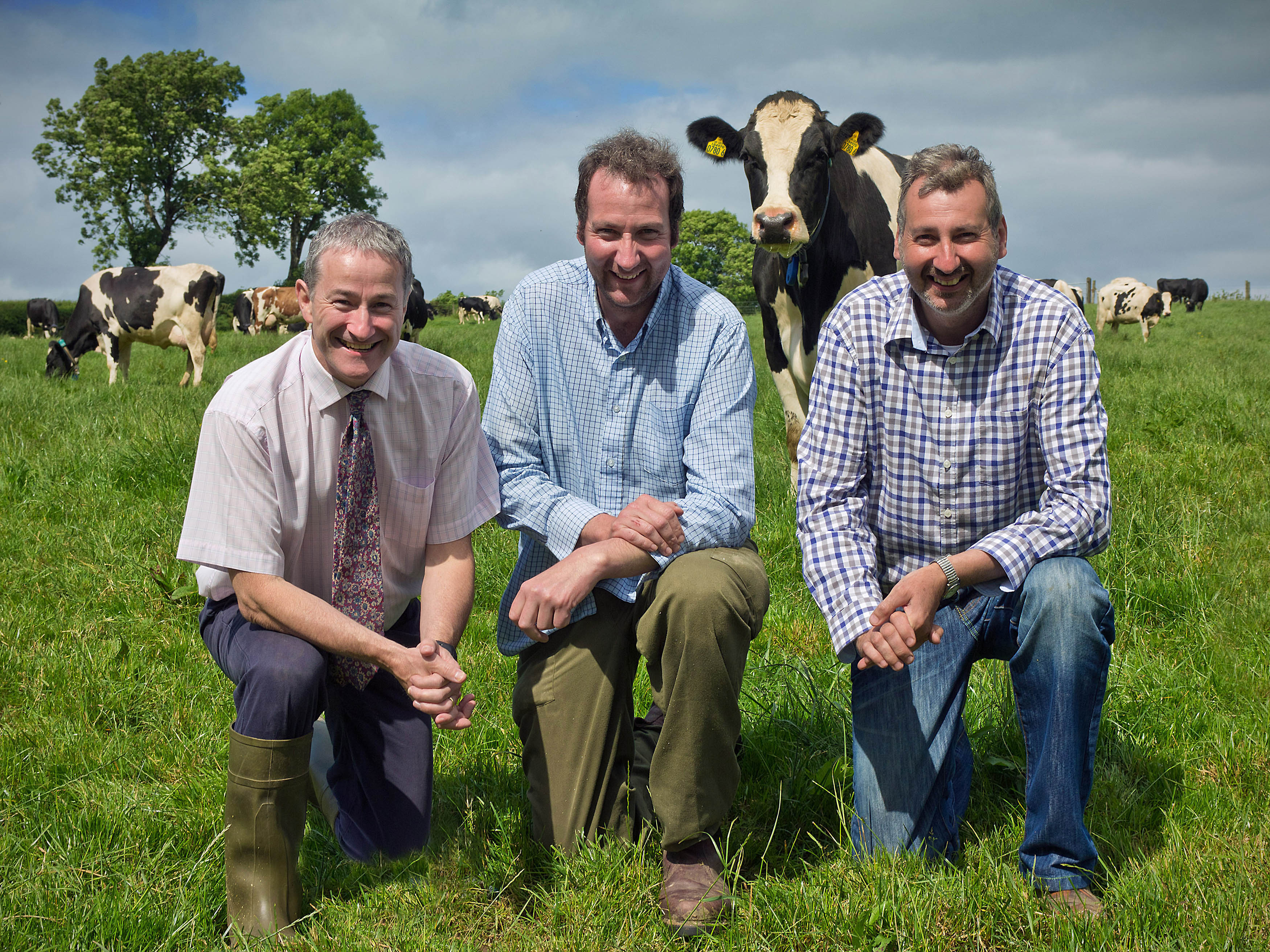 Concentrate feeding for cows Agriland.co.uk