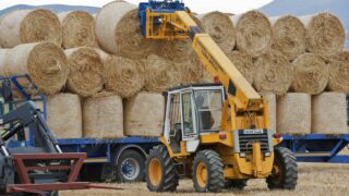 National fodder audit under way today