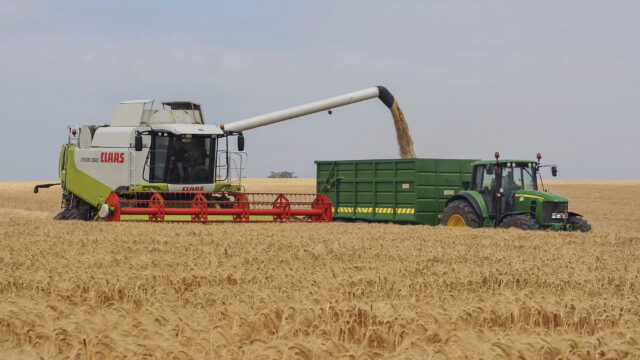 cereal harvest