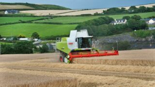 Can your crops get enough ‘K’redit from their soil bank?