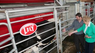Lely live robotic milking cows are on the move