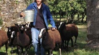 This week’s farmer of the tweet Zwartbles Ireland