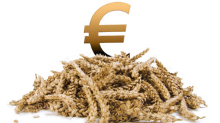 Big increase in grain costs a growing concern