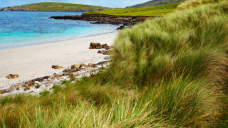 Clare tops sea farming water quality league