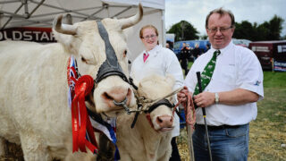 All things Tullamore Show