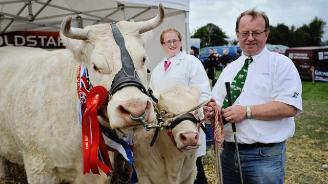 Tullamore Show