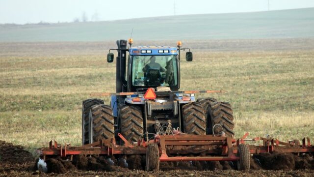 weather wheat cereals