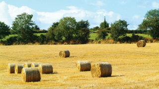 Haulage of fodder to be exempt in new height limits