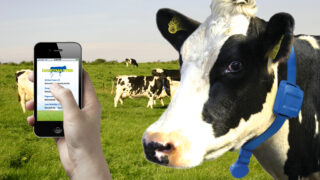 Dairymaster signs new partnership deal with German CRI Genetics GmbH