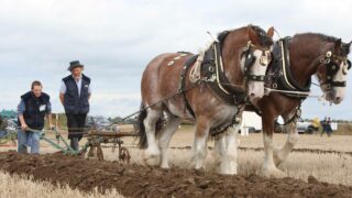 Ploughing through the years