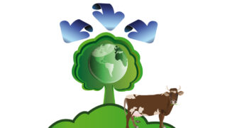 Question the direction of beef production at Global 500