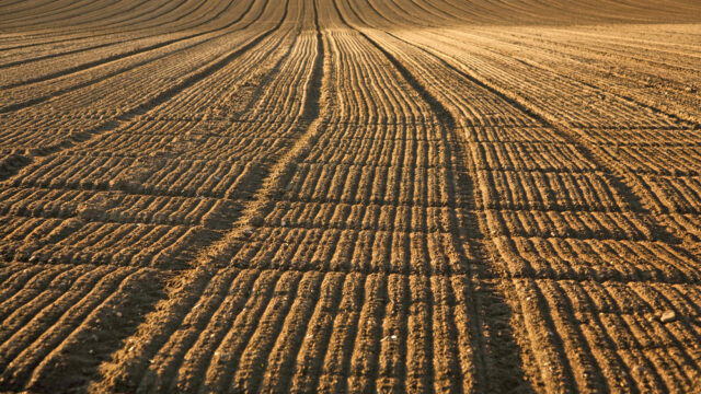 ploughing