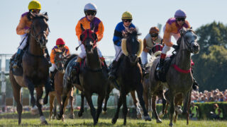 Horse-breeding mask company onto a winner