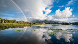 Clean water key for agri-food industry, EPA