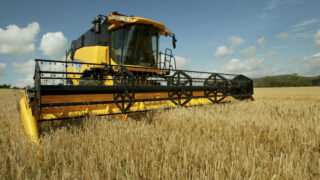 ‘Barley crops affected by disease found on common wild grass’