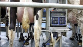 ‘Milk supply and demand balance still has some way to go’