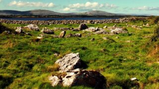 Farming traditions in the Burren to be celebrated