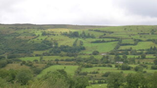 Managing hedgerows to benefit wildlife as deadline looms