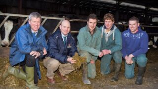 Efficient milk production on Ardboe dairy farm