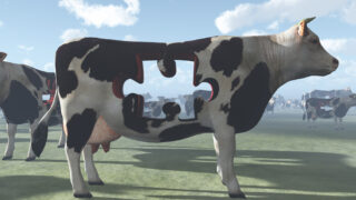 ‘New Zealand milk production to rebound in 2014’