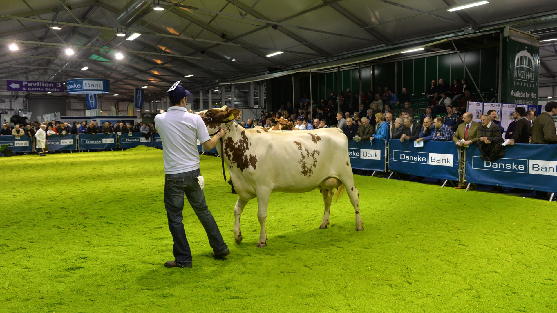 Dairy fairs are a winter wonderland for milk producers Agriland.co.uk