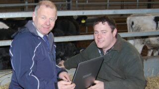 Linden Livestock website now fully interactive
