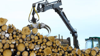 ESB imports 15,000 timber poles a year